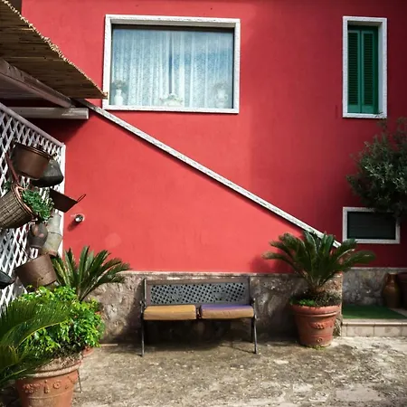 Giacomina * Fasano